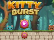 Leikur Kitty Burst á netinu