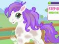 Leikur Cutie Pony Care  á netinu