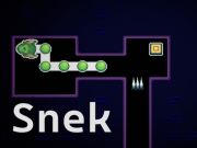 Leikur Snek á netinu
