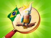 Leikur Falnir hlutir: frí í Brasilíu á netinu