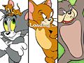 Leikur Tom og Jerry Matchup  á netinu