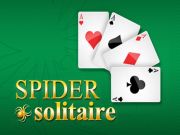 Leikur Spider Solitaire á netinu