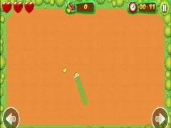 Leikur Fruit Snake á netinu