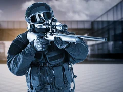 Leikur Special Forces Sniper á netinu