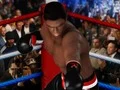 Leikur Ultimate Boxing á netinu