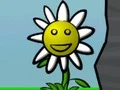 Leikur Flower Power á netinu