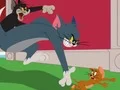 Leikur Tom and Jerry: Chasing Jerry á netinu