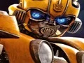 Leikur Bumblebee Hidden Spots á netinu