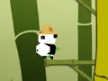 Leikur Panda Jump á netinu