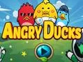 Leikur Angry Ducks á netinu