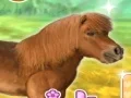 Leikur My Dear Pony á netinu