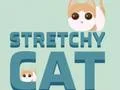 Leikur Stretchy Cat á netinu
