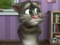 Leikur Talking Tom Cat 2 á netinu