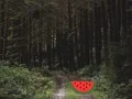 Leikur Dense Forest Deer Escape á netinu