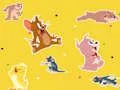 Leikur The Tom and Jerry Show Find it! á netinu