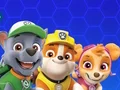 Leikur Paw Patrol á netinu