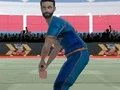 Leikur Cricket Powerplay á netinu