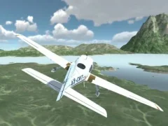 Leikur Flight Simulator World á netinu