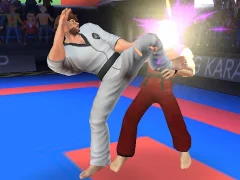 Leikur Karate Fighter á netinu