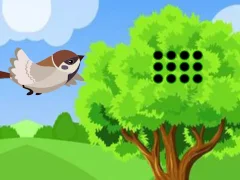 Leikur Sparrow Meets Crow Buddies á netinu