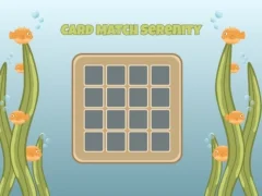 Leikur Card Match Serenity á netinu