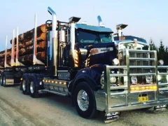 Leikur American City Truck Transporting á netinu