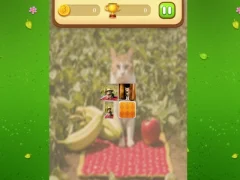 Leikur Farm Cat Memory Match á netinu