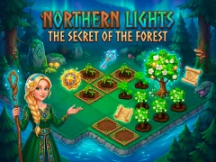 Leikur Northern Lights - The Secret Of The Forest á netinu