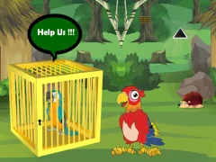 Leikur Release Trapped Macaw Buddy á netinu