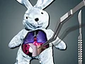Leikur Save The Bunny á netinu