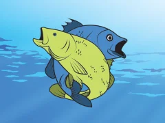Leikur Friendly Fish Coloring á netinu