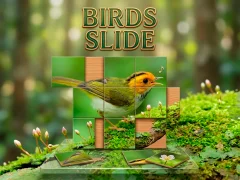 Leikur Birds Slide á netinu