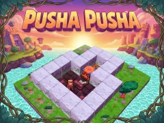 Leikur Pusha Pusha á netinu