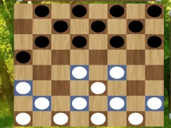 Leikur Classic Checkers: Forest á netinu