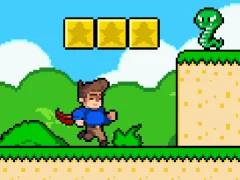 Leikur Steve's World á netinu