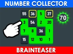 Leikur Number Collector: Brainteaser á netinu