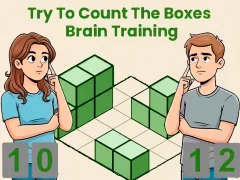 Leikur Try To Count The Boxes Brain Training á netinu