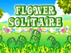 Leikur Flower Solitaire á netinu