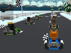 Leikur Kart Bros á netinu