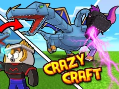 Leikur Crazy Craft á netinu
