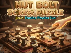Leikur Nut Bolt Screw Puzzle á netinu
