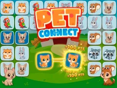 Leikur Pet connect á netinu