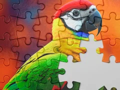 Leikur Jigsaw Master á netinu