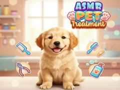 Leikur Asmr Pet Treatment á netinu