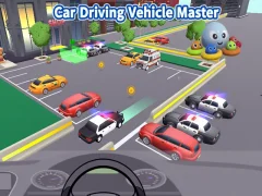 Leikur Car Driving Vehicle Master á netinu