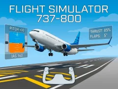 Leikur Flight Simulator 737-800 á netinu