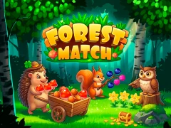 Leikur Forest Match á netinu