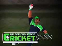 Leikur Cricket Fielder Challenge á netinu