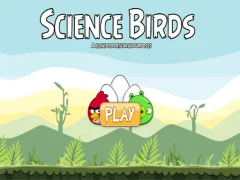 Leikur Science Birds á netinu