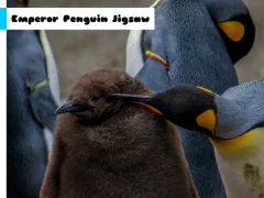 Leikur Emperor Penguin Jigsaw á netinu